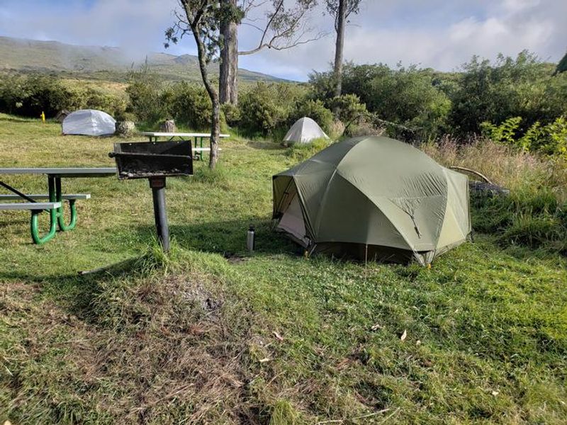Tents with grills and tables