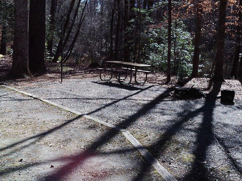 Site #14 is right along the creek, parking is a pull through and not a pull in