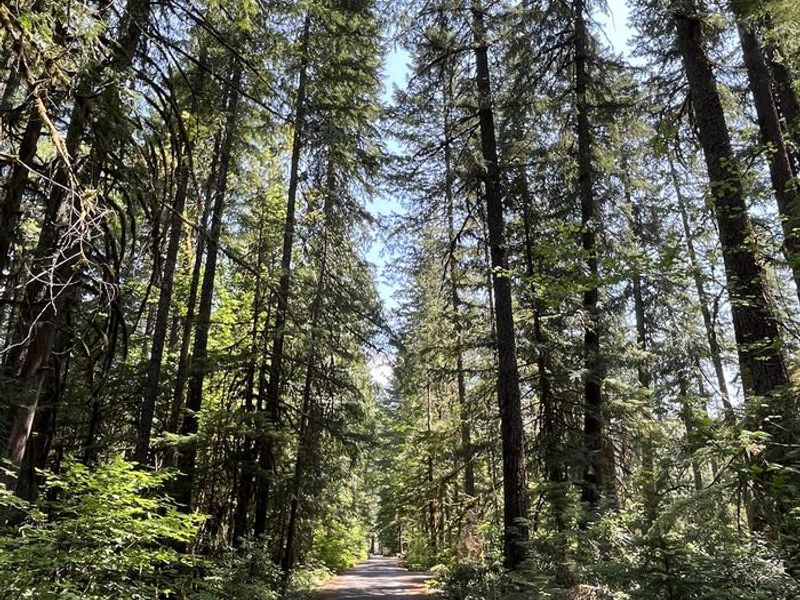 Whispering Falls Campground