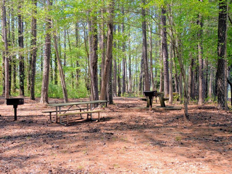 Galt's Ferry Picnic Area Near Bathroom