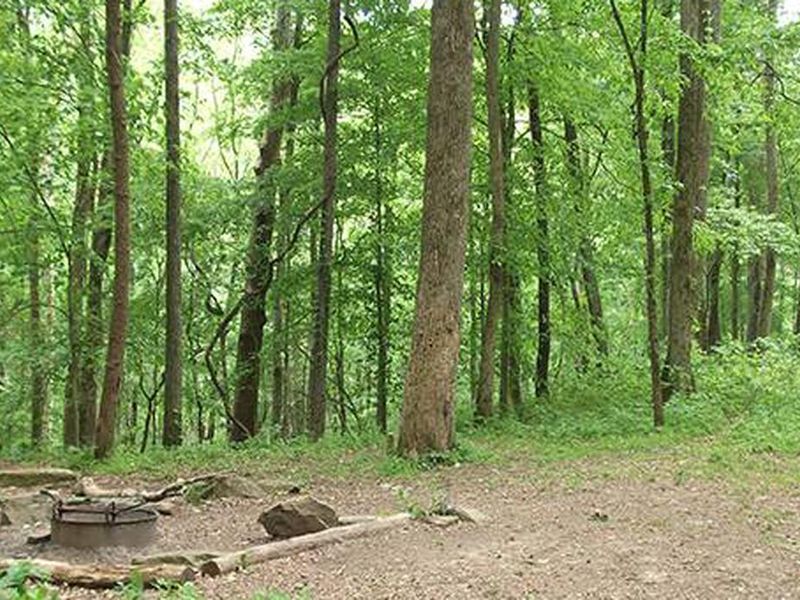 Back-country camping is for the visitor who is looking for a more primitive camping experience.  Back-country campsites are located throughout the north side of the park, offering solitude and an outdoor challenge.  Enjoy birding, star gazing, and hiking.