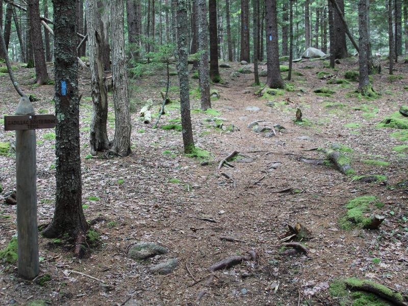 path to Cadillac South Ridge Trailhead (from upper B-Loop)