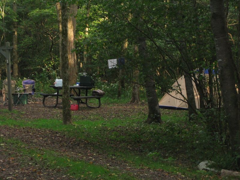 Campsite at Glade Creek campground
