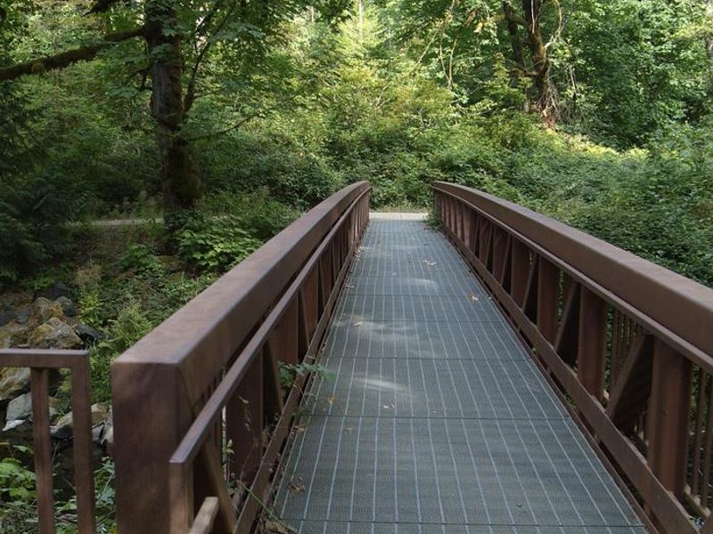 Whittaker Creek foot bridge. 