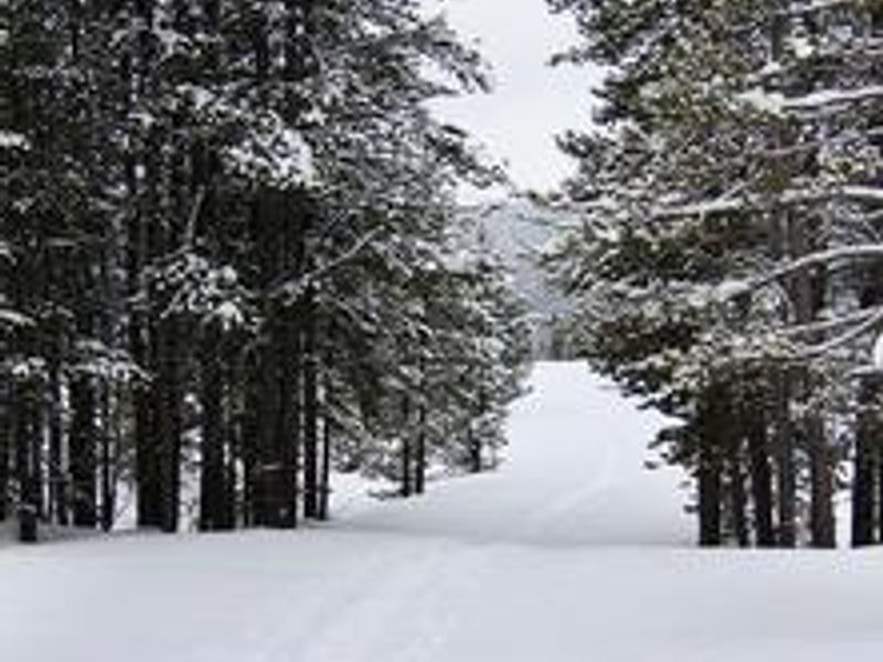 Ski Trail near the Cape Horn Guard Station