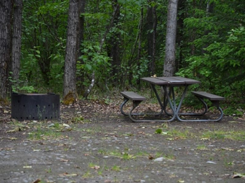 Each campsite comes with a picnic table and fire ring.
