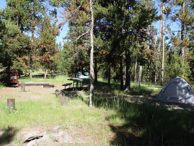 Indian Creek Campground site #6