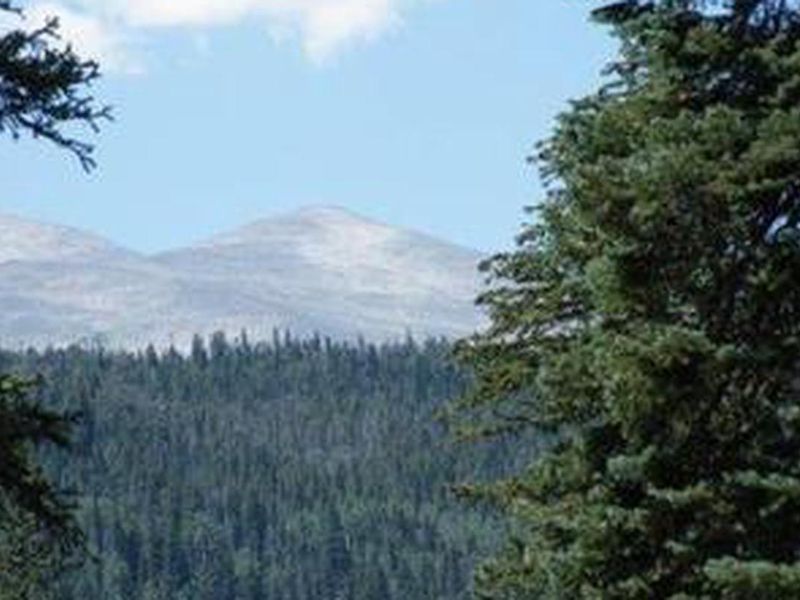 View of Peaceful Valley 