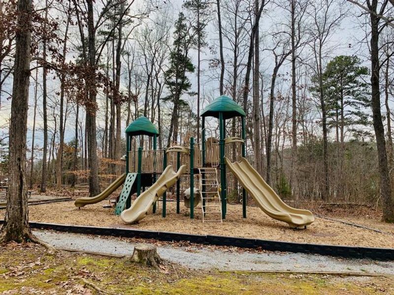This is a picture of the playground located in the Rudds Creek Day Use Area. This playground has 3 slides. 