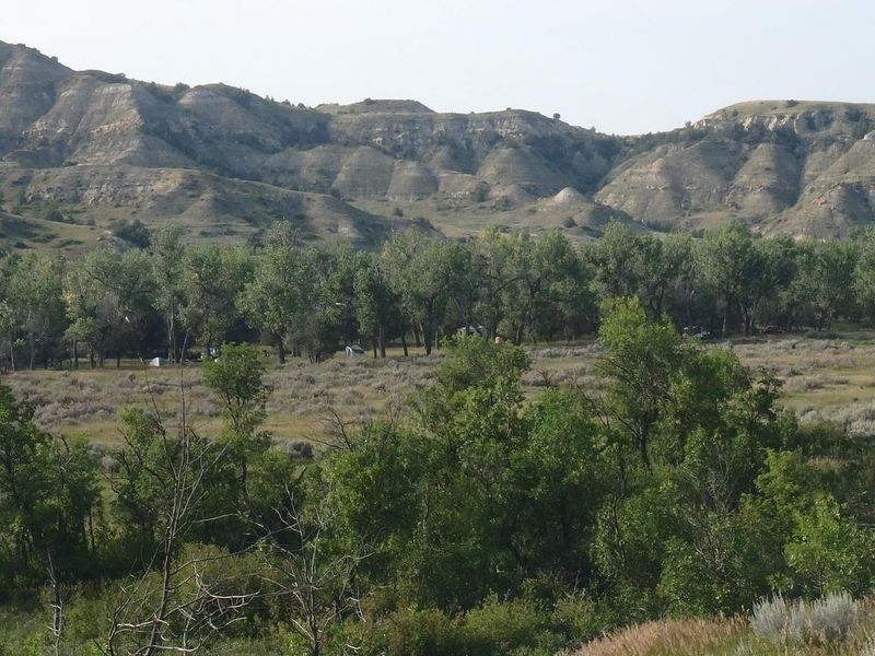 View of Cottonwood Campground from the main park road.