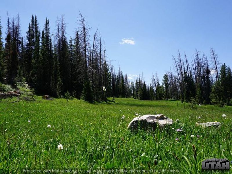 LOST CREEK CAMPGROUND