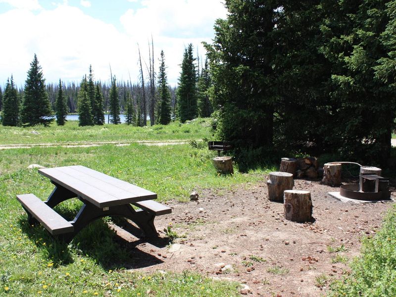 Little Brooklyn Lake Guard picnic area and fire pit