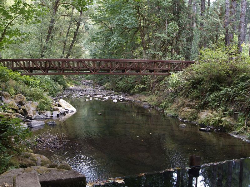 Foot bridge at Whittaker Campground. 