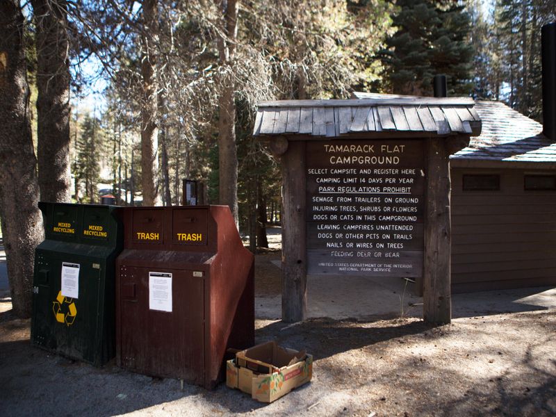 Tamarack Flat Campground Entry Sign and Garbage/Recycling Receptacles