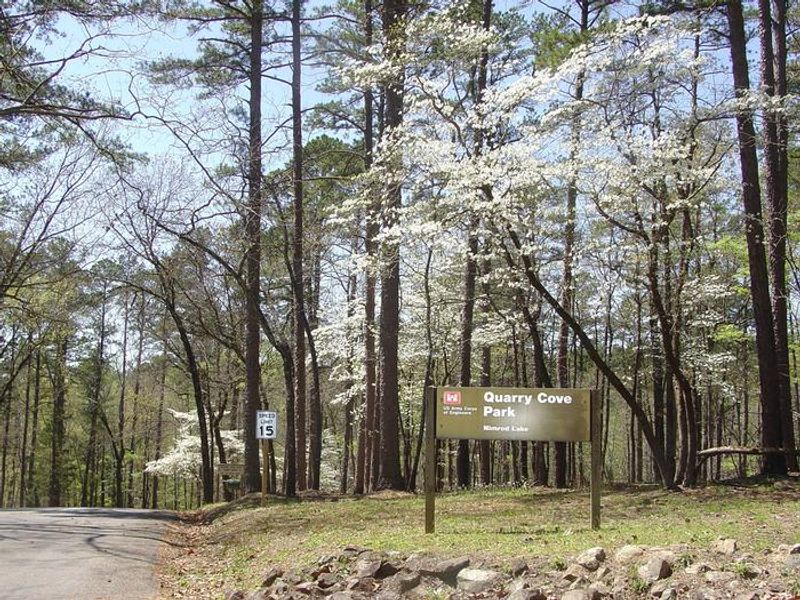 Entrance sign with dogwoods in bloom.