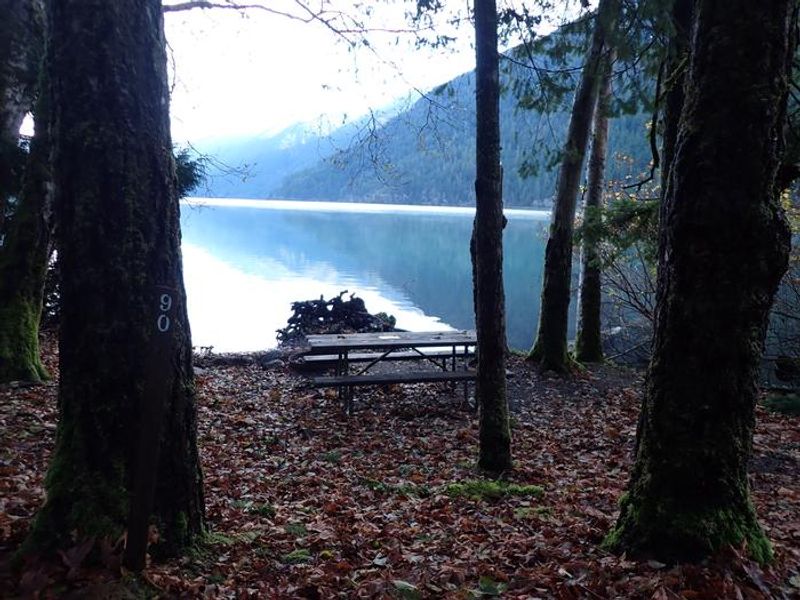 Fairholme Campground walk-in site after significant rain in the winter