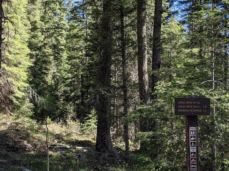 Goose Creek Falls trail departs from the Last Chance Campground.