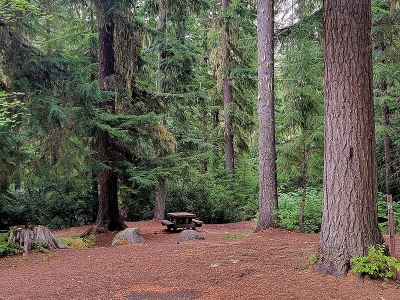 Black Pine Horse Camp - Site 12
