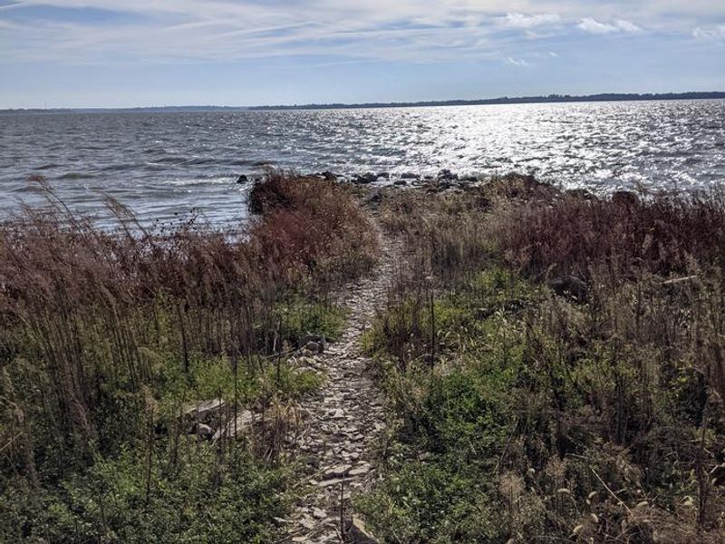 Timber Creek Lake Edge