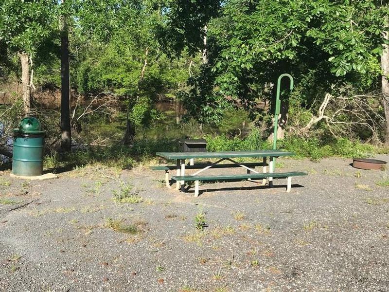 Campsite #4. Tent site with the following amenities: fire-pit, grill, picnic table, lantern pole, trash can. Located along bayou.