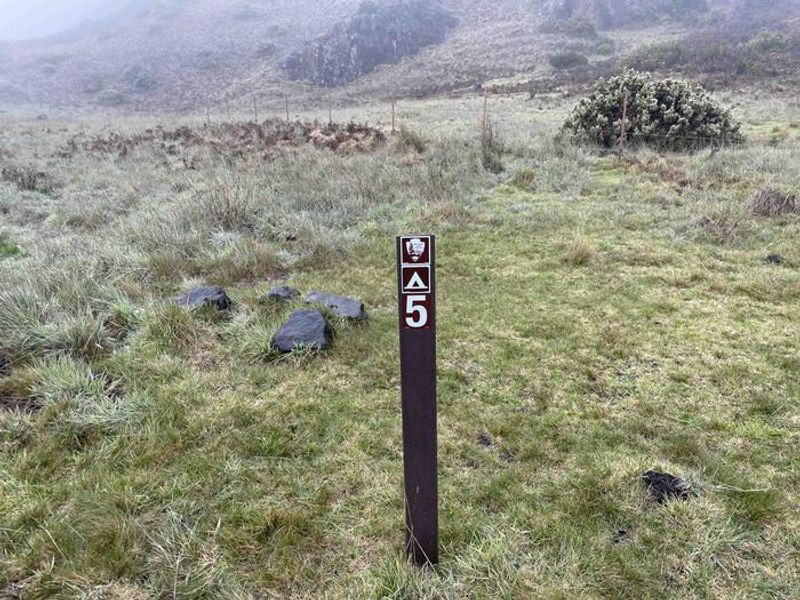 Tent sites are designated with posts and directions