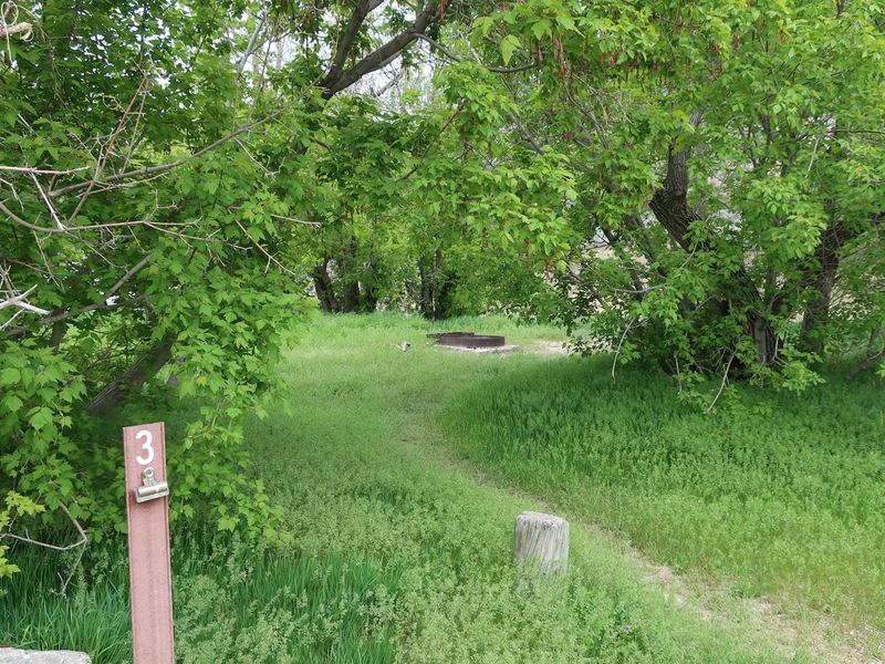 Campsite 3 Rainbow Park campground