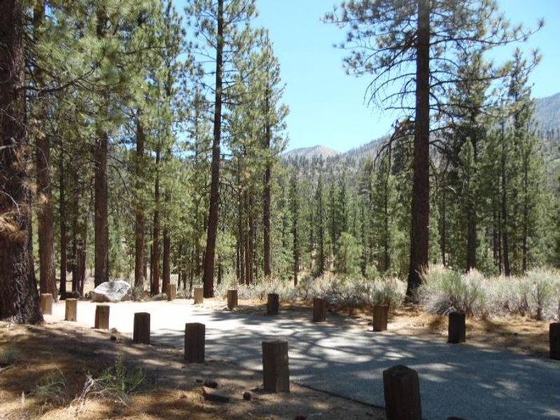  Heart Bar Campground