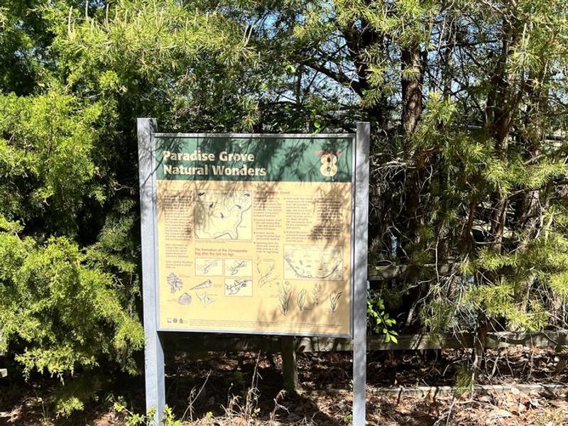 A photo of facility Pax River Paradise Grove Campgrounds with No Amenities Shown