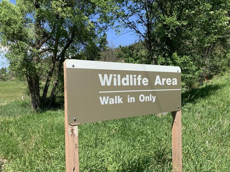 Wildlife Area Adjacent to Campground