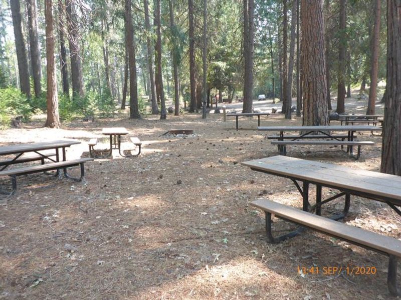 The group kitchen area has 11 picnic tables, serving table, two group barbecue grills and a group fire ring available to rent.  