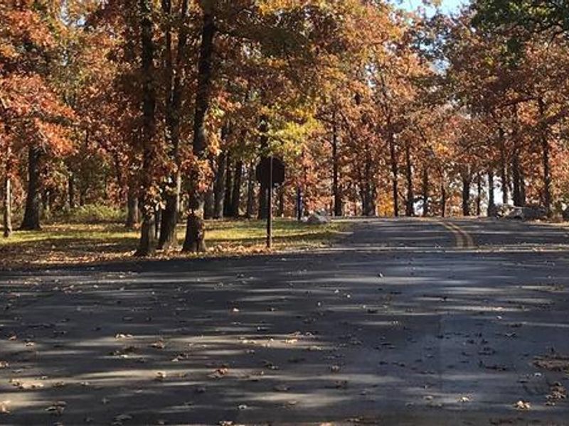 Spencer Creek in the fall
