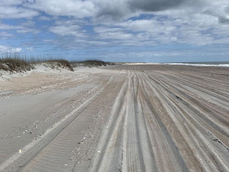 Picked your camping spot yet? The wide beaches of South Core Banks allow for dispersed camping between the dunes and the high tide line