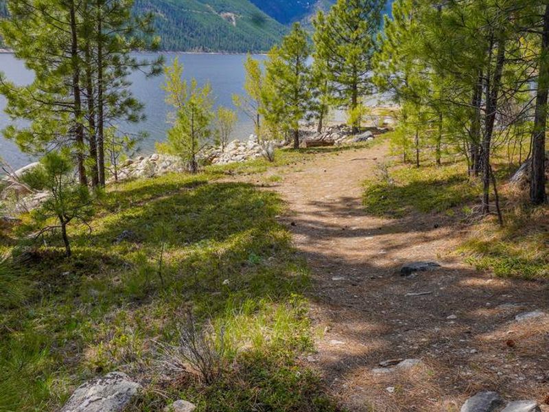 Trail view to lake from cabin