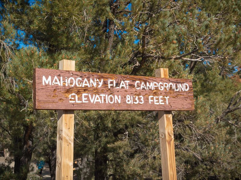 This higher elevation campsite is closed in the winter.