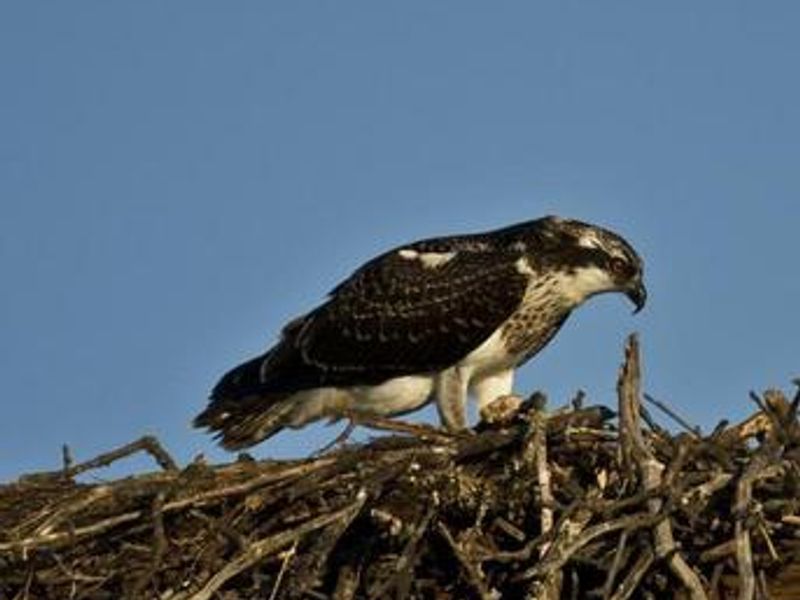 GLORY HOLE RECREATION AREA 2