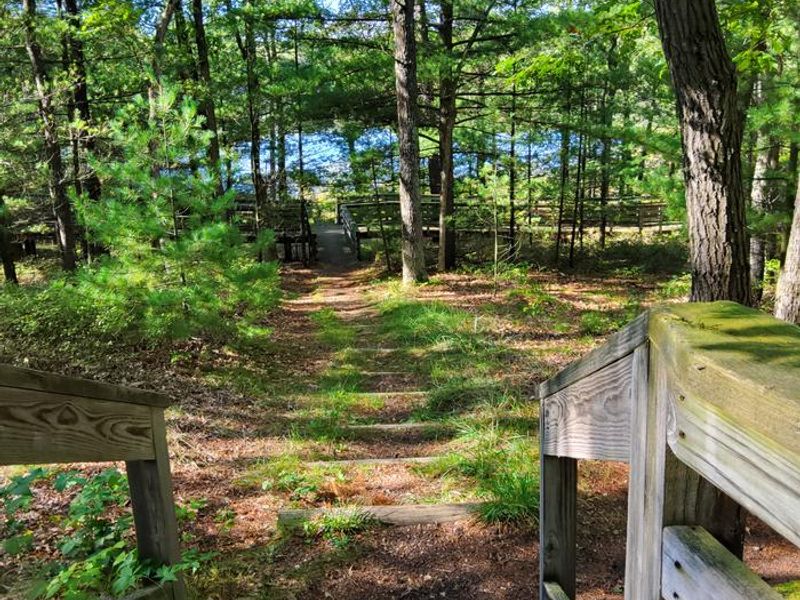 Nichols Lake South Campground
