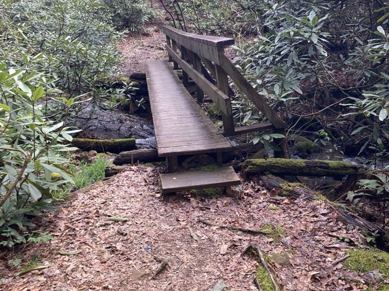 Hiking trail around campground