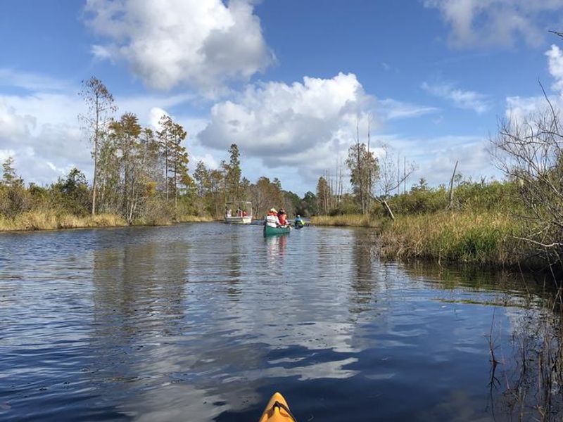A photo of facilities (water trails/shelters) Okefenokee National Wildlife Refuge Overnight Camping Permit