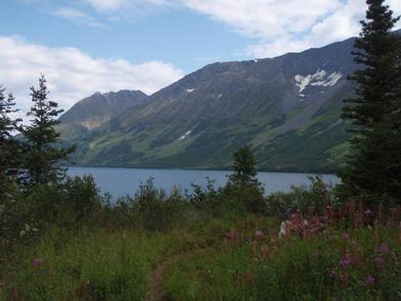 CRESCENT SADDLE CABIN