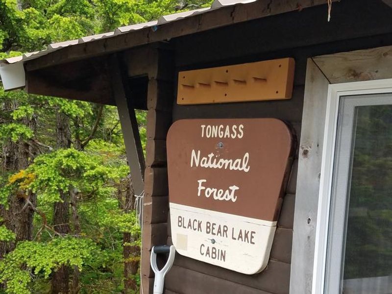Black Bear Lake Cabin