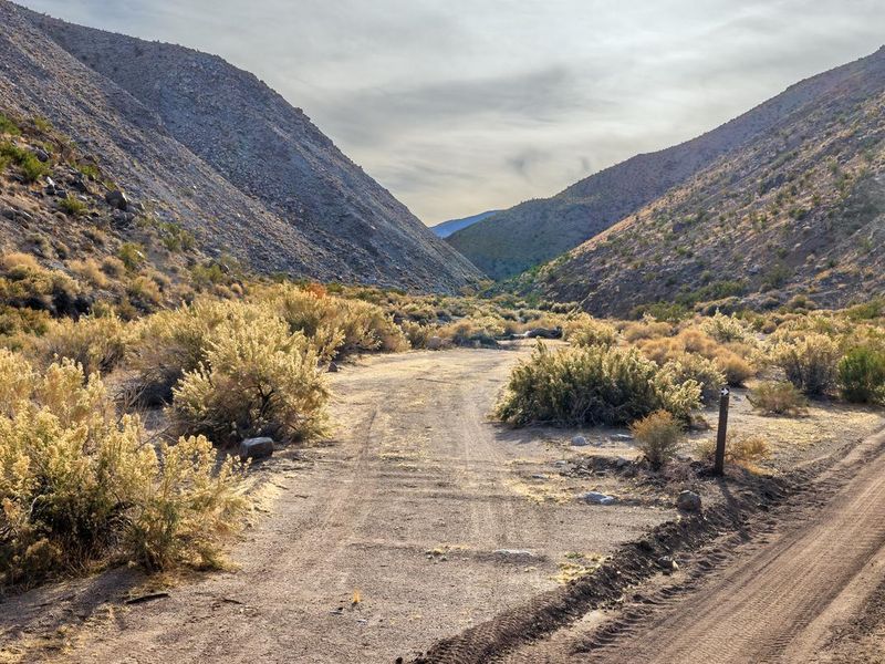 Dirt gravel road with parallel roadside campsite.