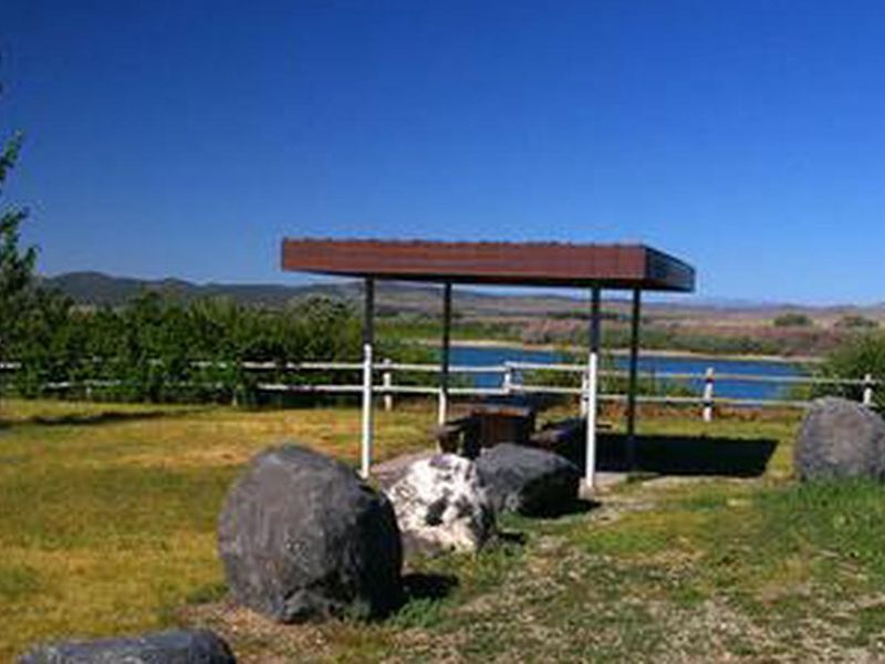 Camping in the summer