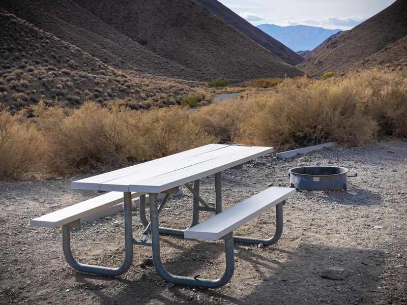A table and fire ring are included at each site at Wildrose.