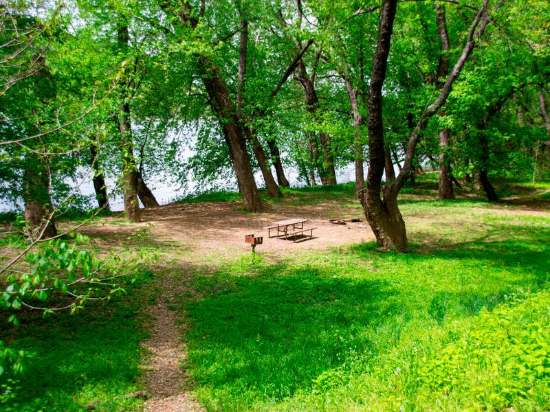 Bald Eagle Campground