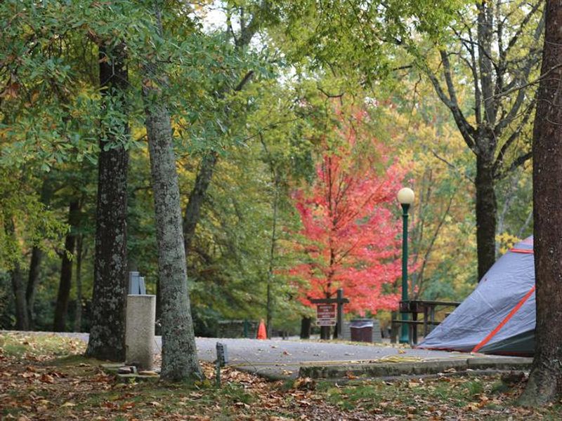 Beautiful Gulpha Gorge Campground welcomes tent and RV campers