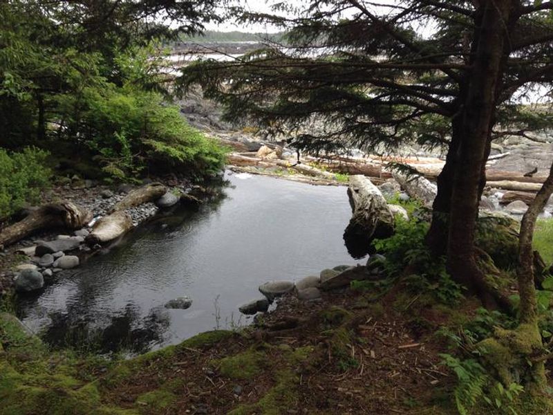 White Sulphur Springs 