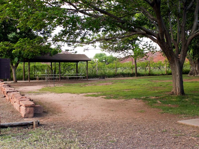 View of Group Site from one side.