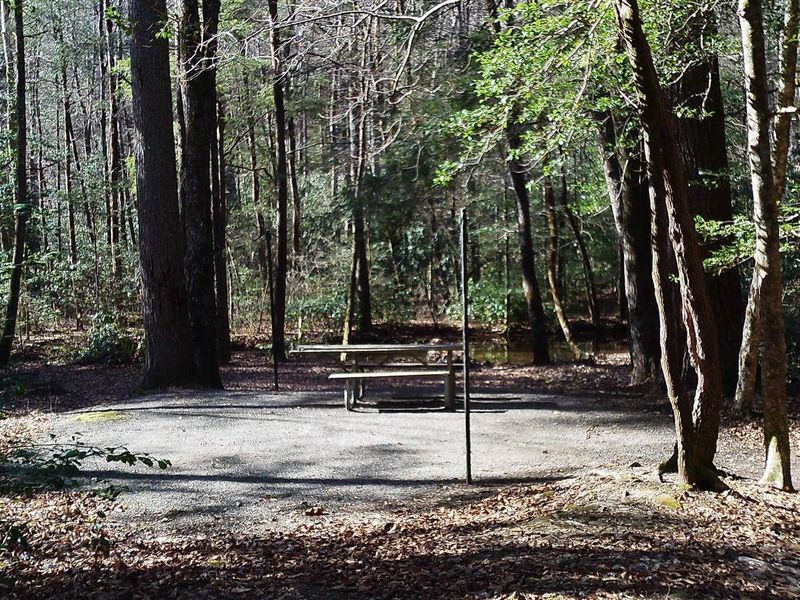 Welcome to Site #8 a walk in site that is one of the favorites in the campground on the creek side.