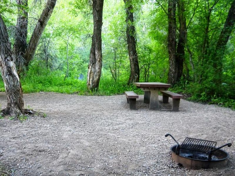 Campsite in Leigh Creek Campground
