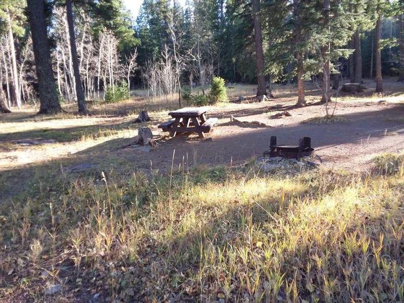 Brookchar Campground